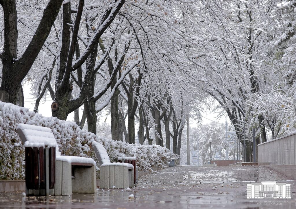 Frosts up to -15°C: Meteorologists have issued a grim forecast for the weekend