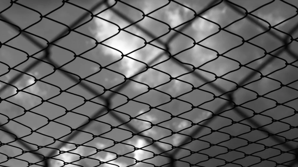 Mirziyoyev Pardons 483 Inmates: Who Got a Second Chance?