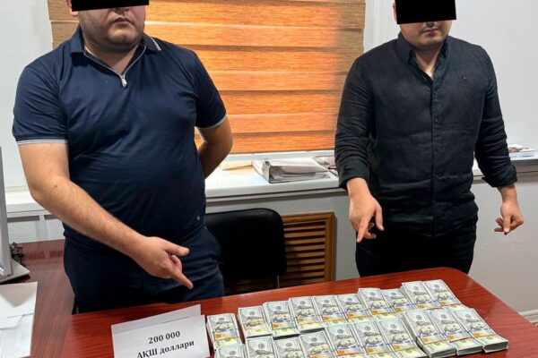 В Ташкенте задержаны двое мужчин, пытавшихся продать за 4 млн долларов 50 соток земли