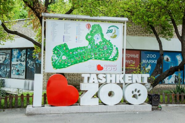 Посетитель ташкентского зоопарка накормил эму… газетой: теперь птица под наблюдением ветеринаров