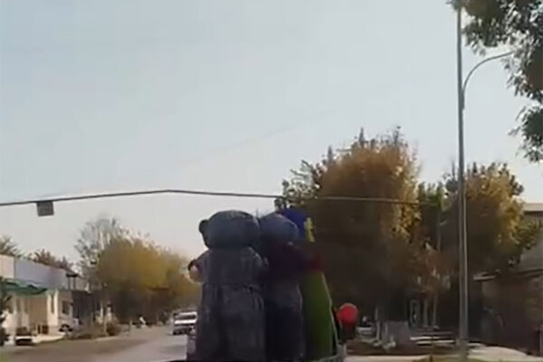 Бешеные пляски в кузове: в Сырдарье грузовичок с аниматорами стал звездой соцсетей