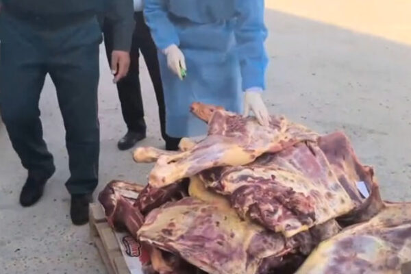 В Сырдарье снова задержали партию протухшего мяса: 250 кг везли в Ташкент
