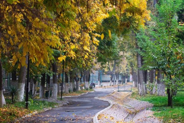 Снова тепло! Синоптики пообещали на неделе «солнечную и очень тёплую погоду»