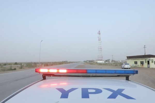 Шокирующее видео: маленькая девочка выпала из движущегося автомобиля