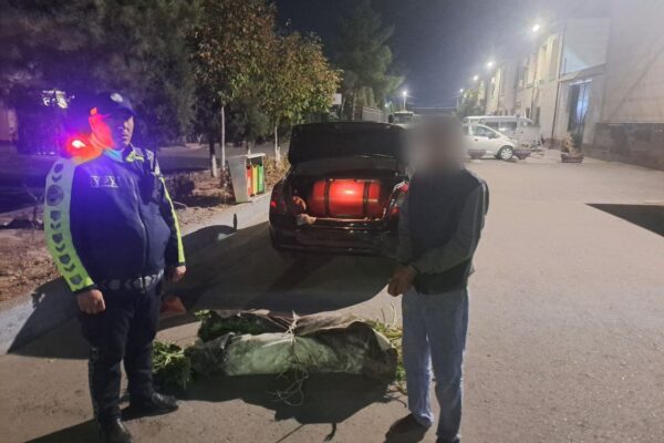 В Ташкенте задержали Lacetti с багажником, набитым «травой»