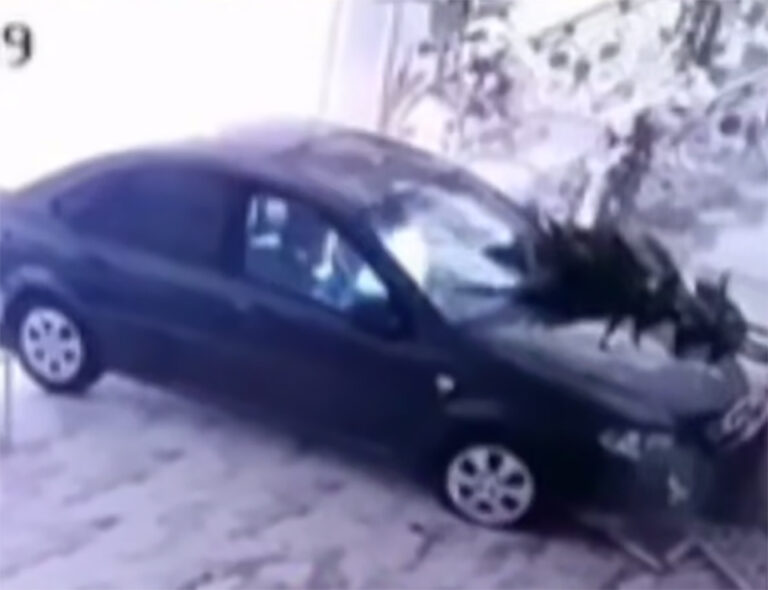 Очередное ДТП: «Ласетти» на скорости влетел в банкетный зал