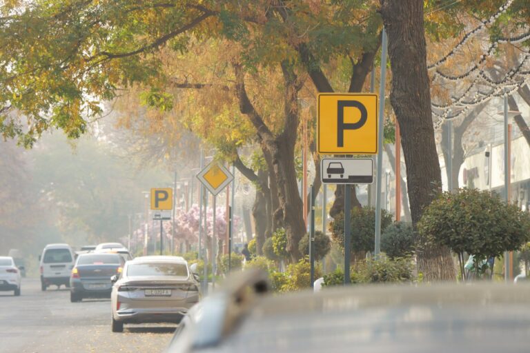 Агентство по борьбе с коррупцией проверит законность введения платных парковок в столице