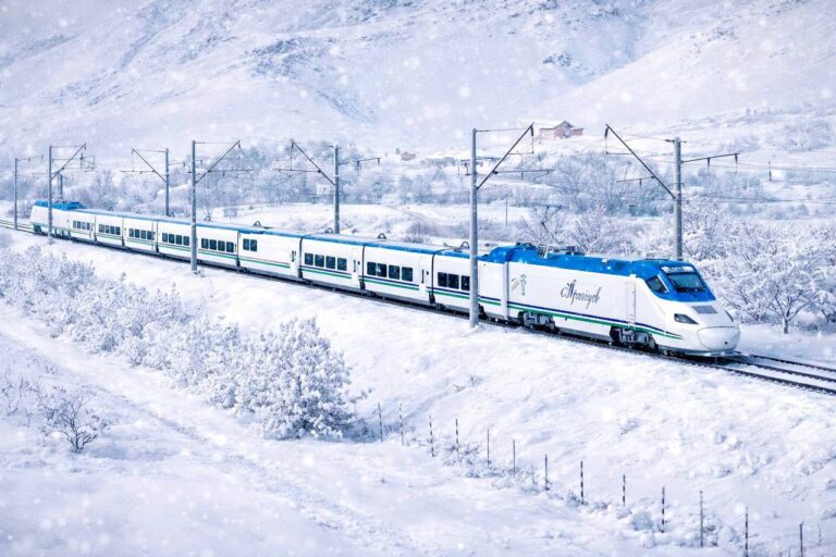 Железнодорожники запускают дополнительные рейсы «Афросиаба» в новогодние праздники