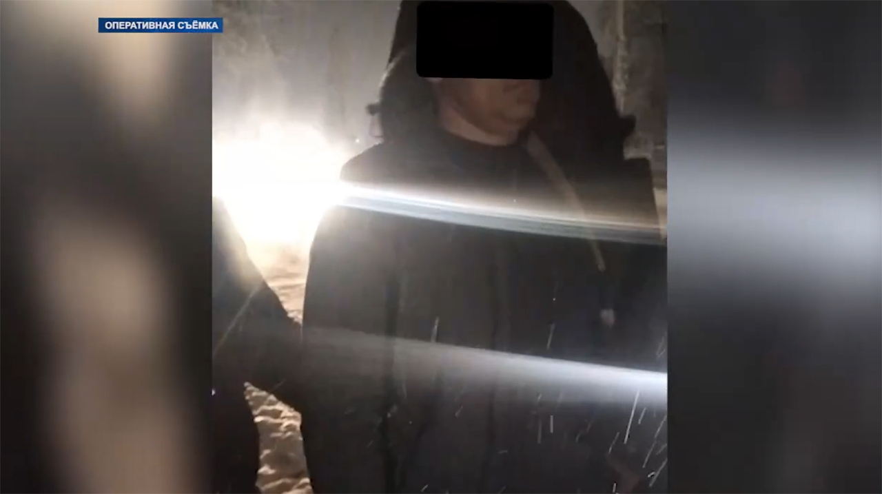 Рубить нельзя, но за 3000 долларов можно: в Ташобласти задержан чиновник, продававший разрешения на рубку деревьев