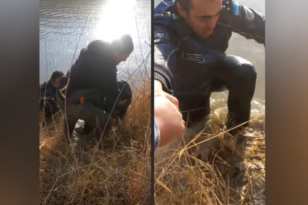 Инспектор профилактики спас женщину, бросившуюся в реку в Бухарской области Инспектор профилактики спас женщину, бросившуюся в реку в Бухарской области