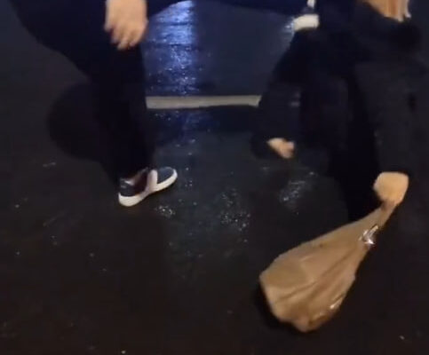 Жена и любовница? В ГУВД прокомментировали вирусное видео драки двух женщин в Ташкенте