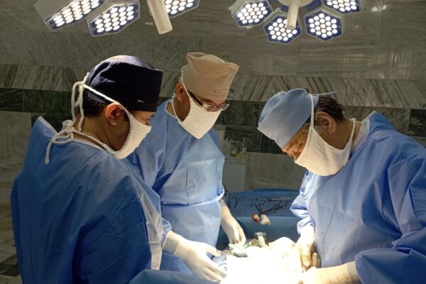 В Кашкадарье из желудка 20-летней пациентки удалили ком волос весом 1,4 кг