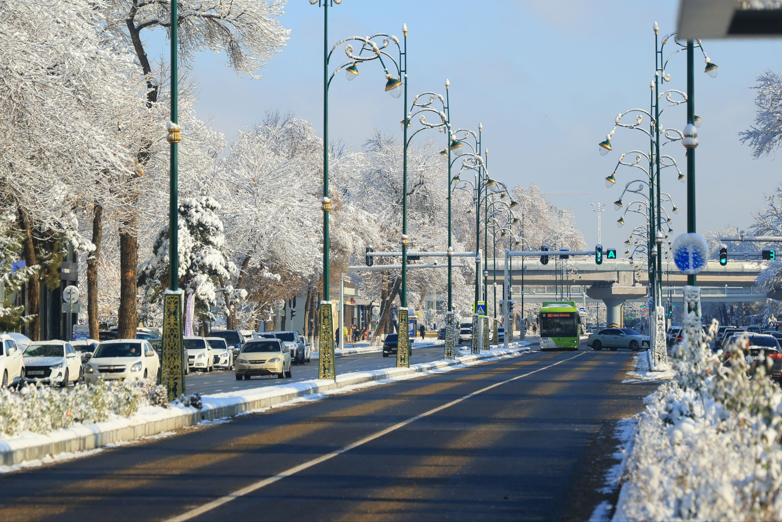 Станет теплее: синоптики рассказали о погоде на выходных