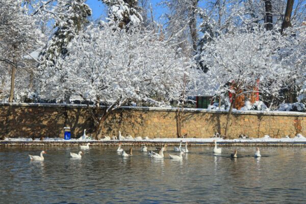 Потепление до +15 градусов: Узгидромет порадовал прогнозом на выходные