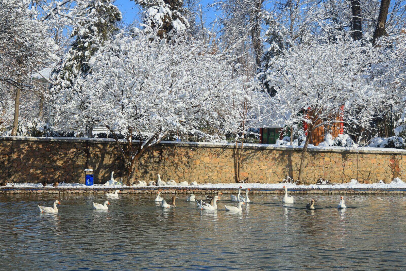 Потепление до +15 градусов: Узгидромет порадовал прогнозом на выходные