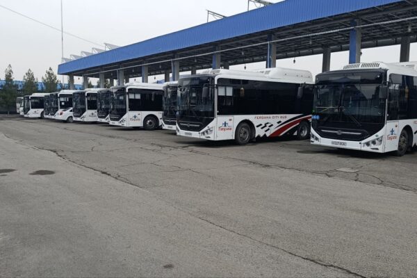 Каждую зиму одно и то же: проблемы с газом снова ударили по общественному транспорту в регионах