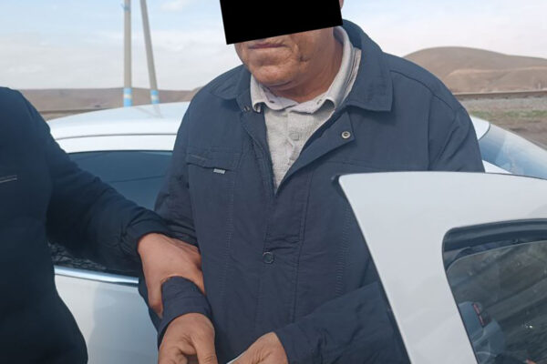 Зелёная коррупция: в Сурхандарье экочиновник «оценил» вырубку деревьев в 500 долларов