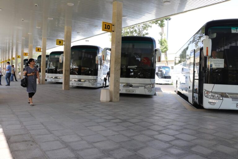 Из Ташкента в Санкт-Петербург снова можно будет доехать на автобусе