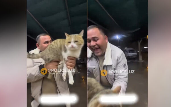 «Юмор» за гранью: в соцсетях распространяется видео с издевательством над кошкой «Юмор» за гранью: в соцсетях распространяется видео с издевательством над кошкой