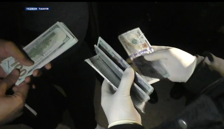 Доллары из Турции и «принтерные» миллионы: СГБ пресекла две попытки сбыта фальшивой валюты