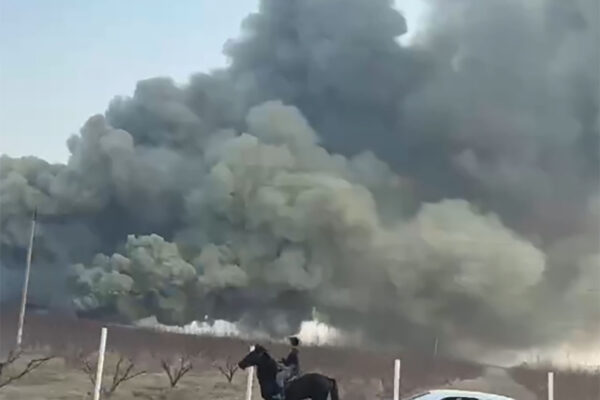 В Ферганской области сгорел склад с саженцами деревьев