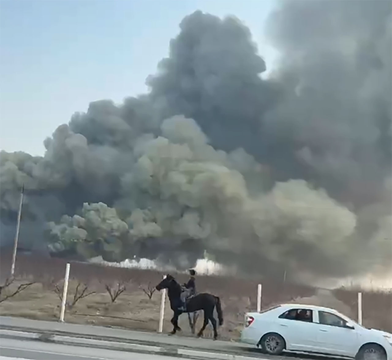В Ферганской области сгорел склад с саженцами деревьев