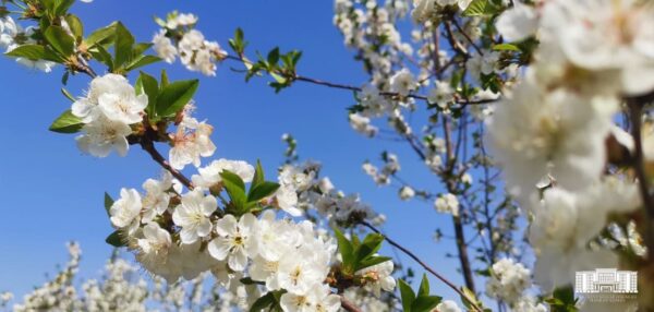 После аномального тепла – дожди и ветер: синоптики рассказали о погоде на выходных После аномального тепла – дожди и ветер: синоптики рассказали о погоде на выходных