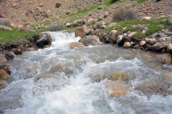Очень тепло и дожди: синоптики рассказали о погоде на неделе
