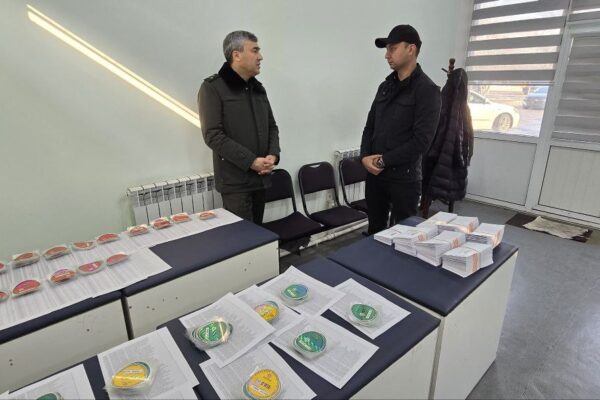 В Ташкенте экостикеры в упрощенном порядке получили уже 45 тысяч водителей: как это работает и что важно знать