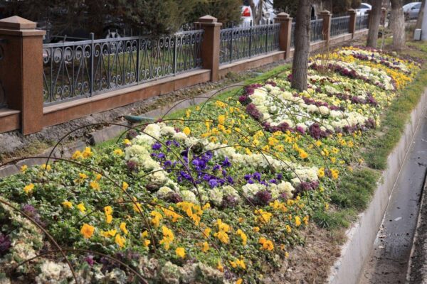 В Узбекистан возвращается тепло: прогноз погоды на выходные