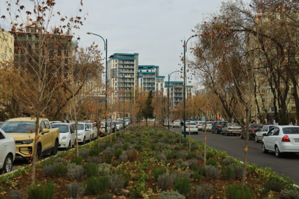 До +22: на выходных в Узбекистан придёт настоящая весна