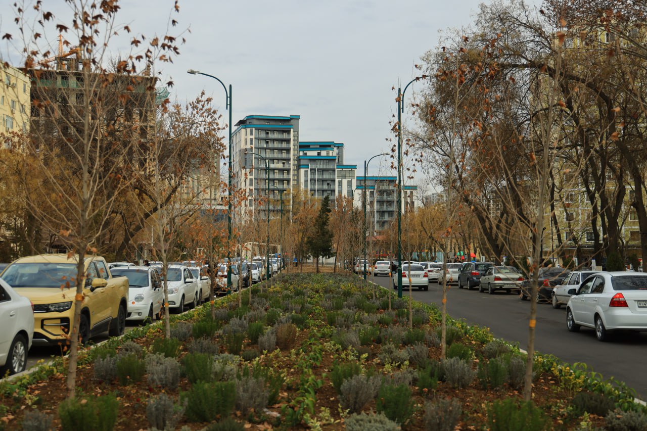 До +22: на выходных в Узбекистан придёт настоящая весна