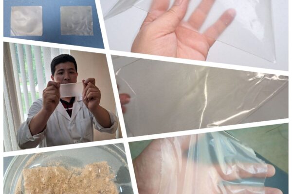 Узбекские учёные разработали полностью биоразлагаемую альтернативу пластиковым пакетам