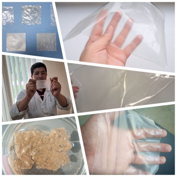 Узбекские учёные разработали полностью биоразлагаемую альтернативу пластиковым пакетам