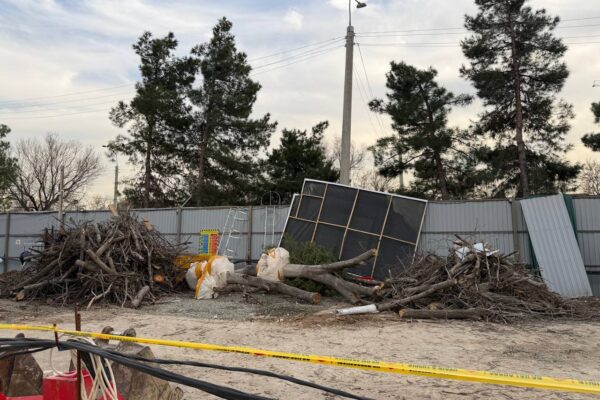 Снова под топор: рядом с Национальным парком вырубили 12 деревьев ради «роскошного» проекта