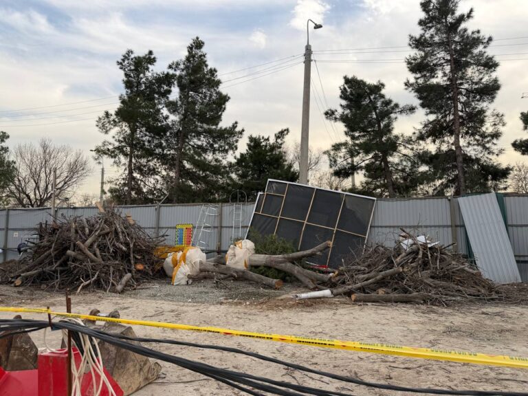 Снова под топор: рядом с Национальным парком вырубили 12 деревьев ради «роскошного» проекта