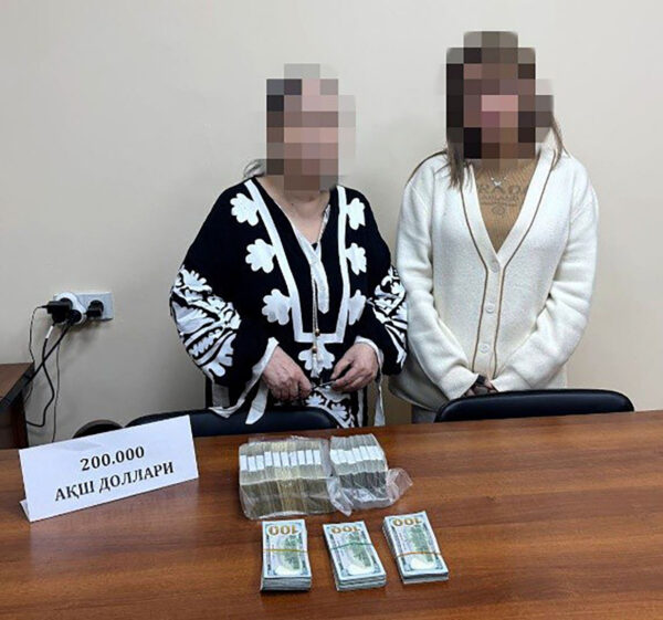 Пенсионерка планировала продать 2 гектара земли в Ташкенте за 9 миллионов долларов