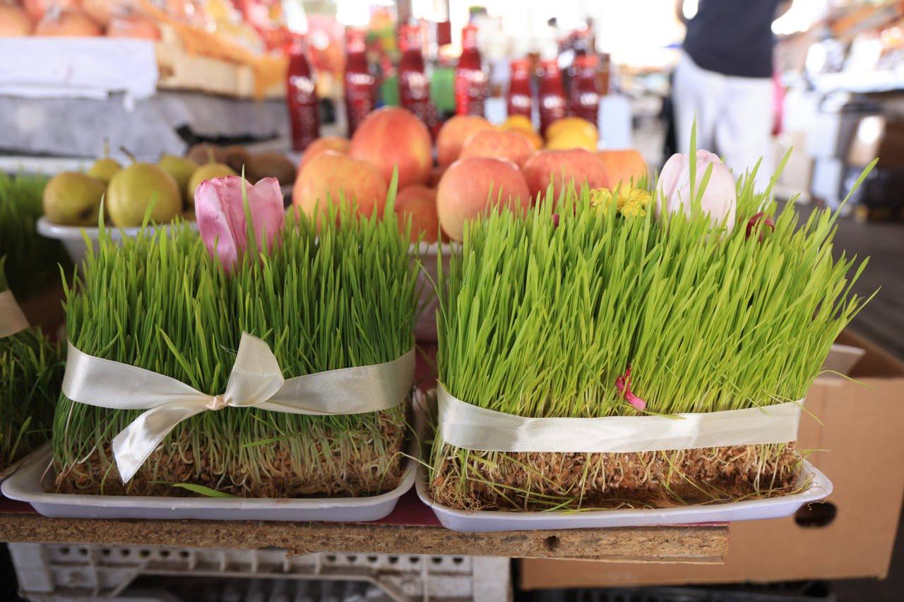 Весна на подходе: Узгидромет рассказал о погоде на выходных