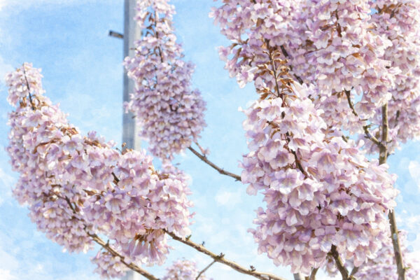 Апрель с сюрпризами: дожди, жара до +32 и шанс увидеть снег