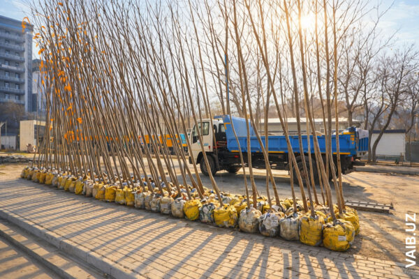 Весна всё-таки пришла: на этой неделе в Узбекистане потеплеет до +20 Весна всё-таки пришла: на этой неделе в Узбекистане потеплеет до +20