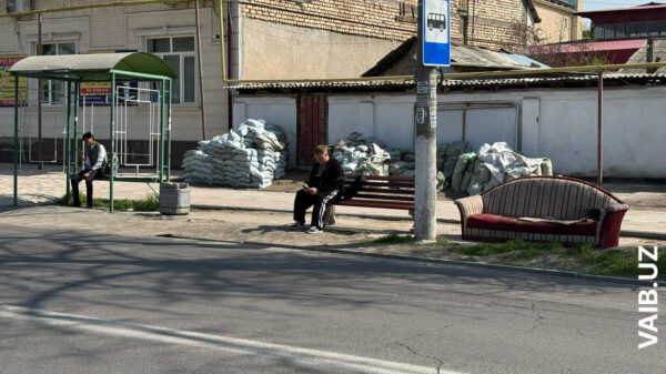Когда не дождались «умных»: в Ташкенте нашли самую народную остановку с диваном