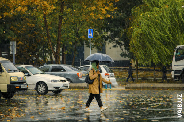 Узгидромет предупредил о сильных дождях в Узбекистане 7 и 9-10 марта