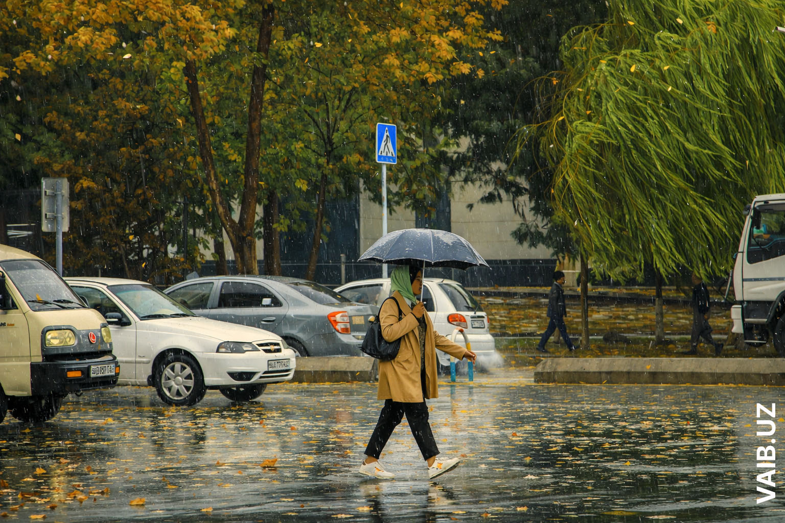 Узгидромет предупредил о сильных дождях в Узбекистане 7 и 9-10 марта