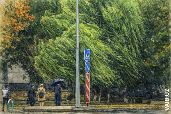 Кругом дожди: Узгидромет рассказал о погоде на предстоящей неделе