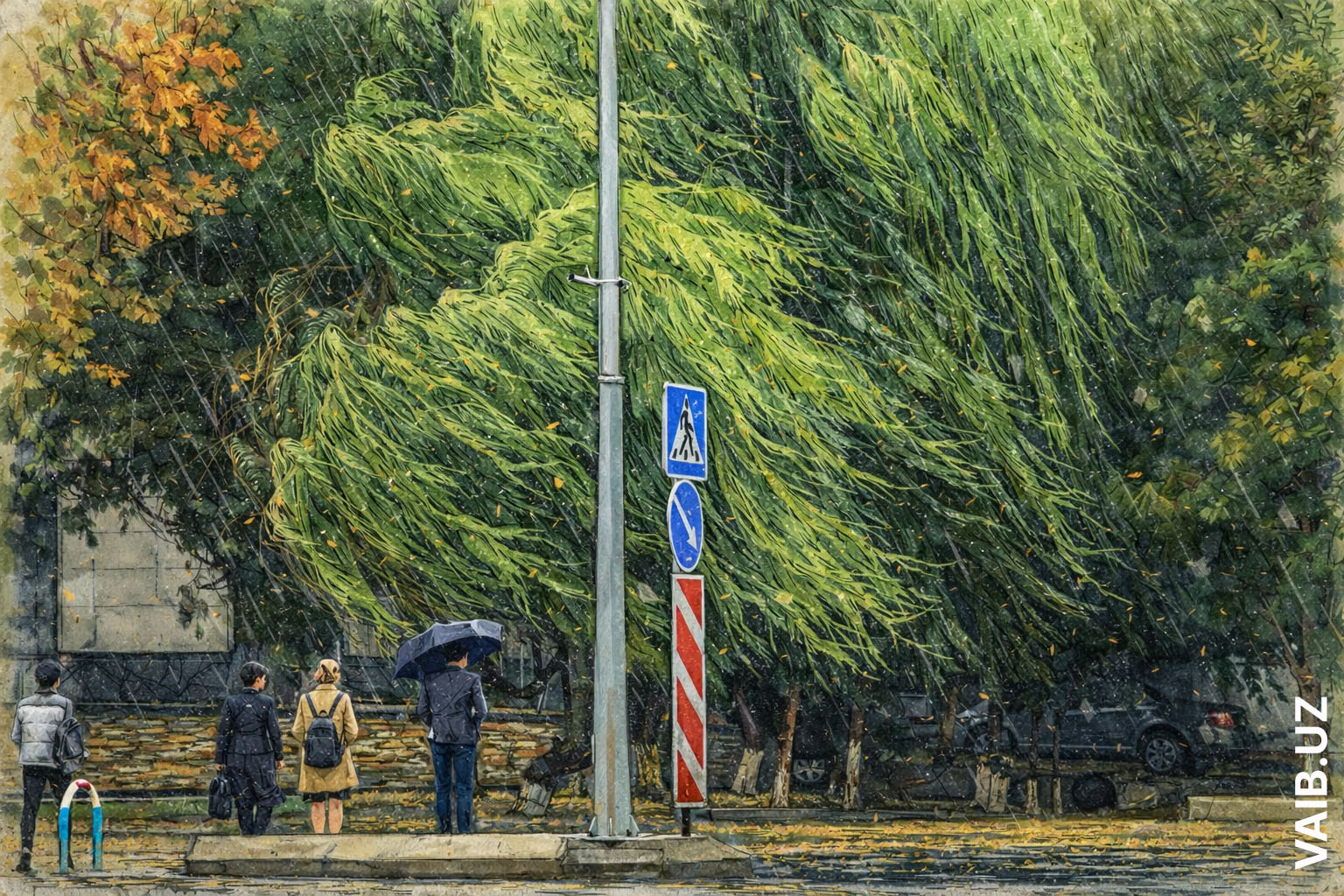 Кругом дожди: Узгидромет рассказал о погоде на предстоящей неделе