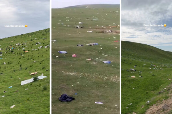 Холмы с маками превратили в помойку: спасибо, «отдыхающие»