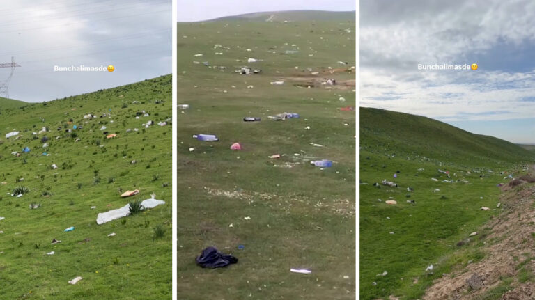 Холмы с маками превратили в помойку: спасибо, «отдыхающие»