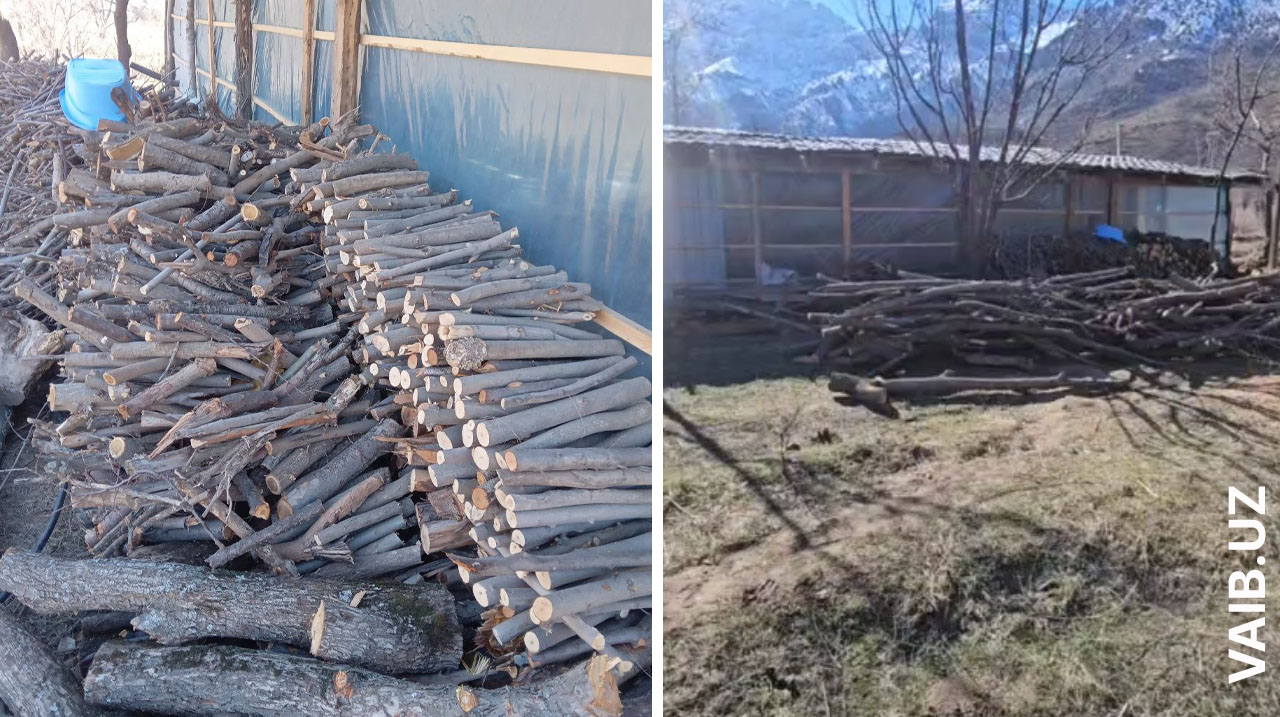 Сады Бурчмуллы начали проверять на предмет незаконной вырубки. Главное, чтобы к концу проверки там ещё осталось, что проверять