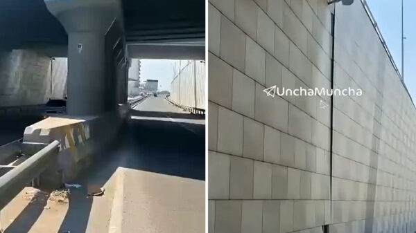 Новый народный контроль: узбекистанцы начали сами проверять мосты и путепроводы Новый народный контроль: узбекистанцы начали сами проверять мосты и путепроводы