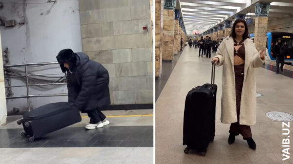 Креатив или перебор? В соцсетях спорят из-за видео релокантки в Ташкенте Креатив или перебор? В соцсетях спорят из-за видео релокантки в Ташкенте